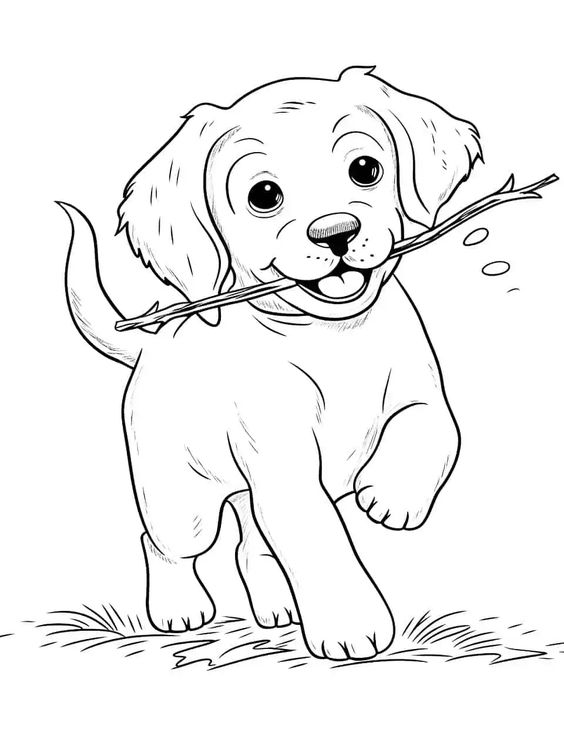 esboço de desenho de cachorro para colorir 7797382 Vetor no Vecteezy