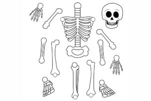 Moldes de Esqueletos Para Imprimir no Halloween