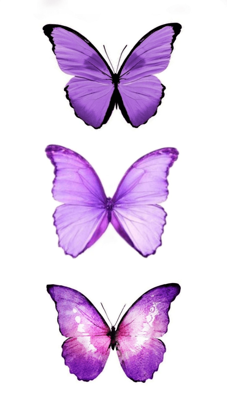 Modelos de Borboleta Lilás em PNG para Imprimir