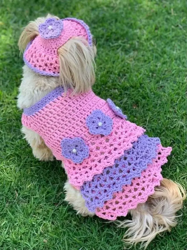 cropped-roupas-de-croche-para-cachorro-2.jpg